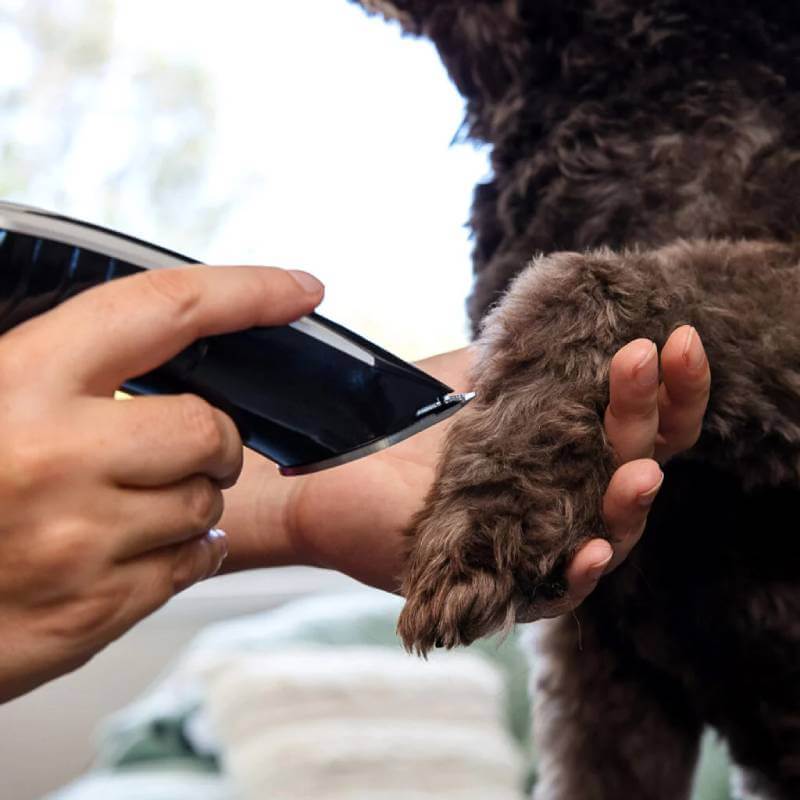 A person trims a dog's paw fur with the Wahl Smart Clip Pet Clipper Kit by Wahl.