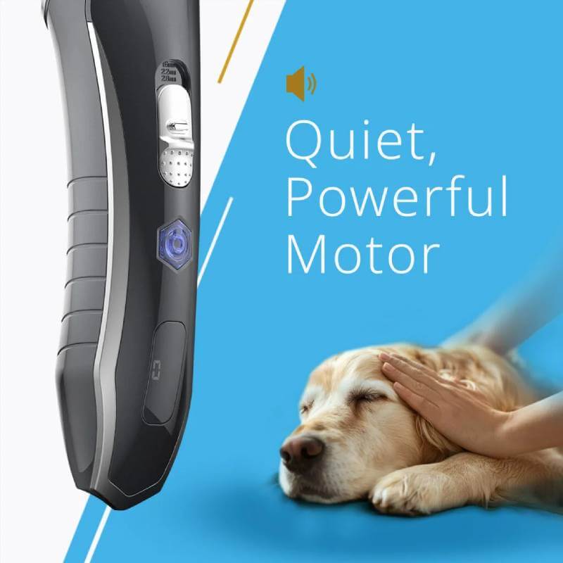Wahl Smart Clip Pet Clipper Kit by Wahl trims pets quietly; relaxed golden retriever nearby.