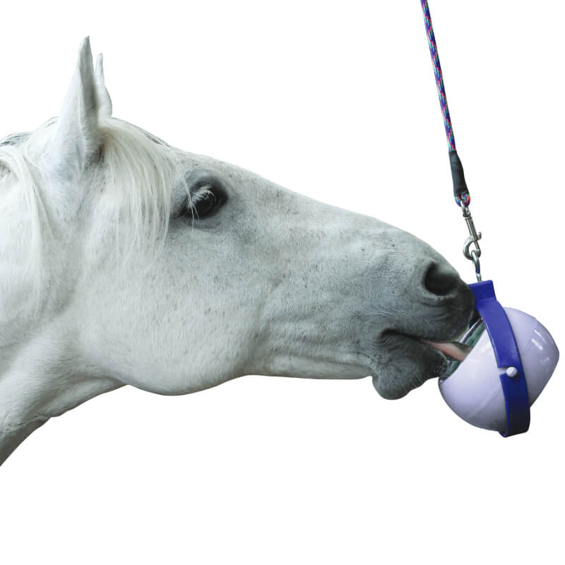 Likit Boredom Buster Purple/Lilac horse toy with rope for mental stimulation; packaging shows use.