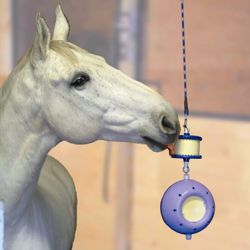 Likit Boredom Breaker by Likit—blue & yellow horse toy with holder included.