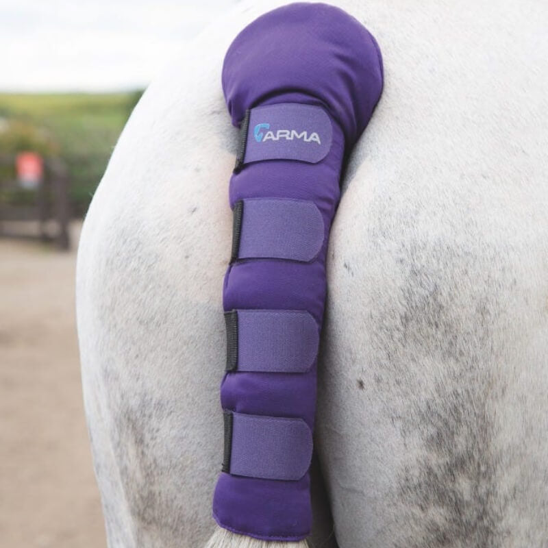 White horse outdoors with a purple Shires Arma Padded Tail Guard strapped to its tail.