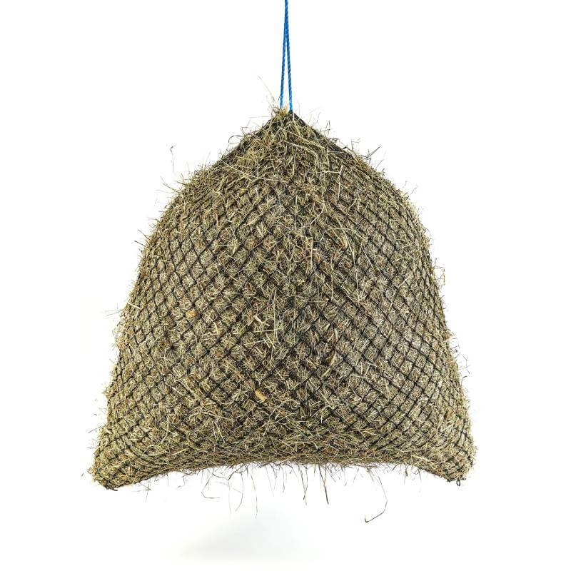 Shires Greedy Feeder Net filled with hay, hanging by a blue string on a white background.