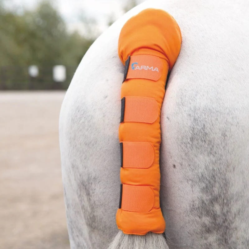 Shires Arma Padded Tail Guard in bright orange on a white horse outdoors, background blurred.