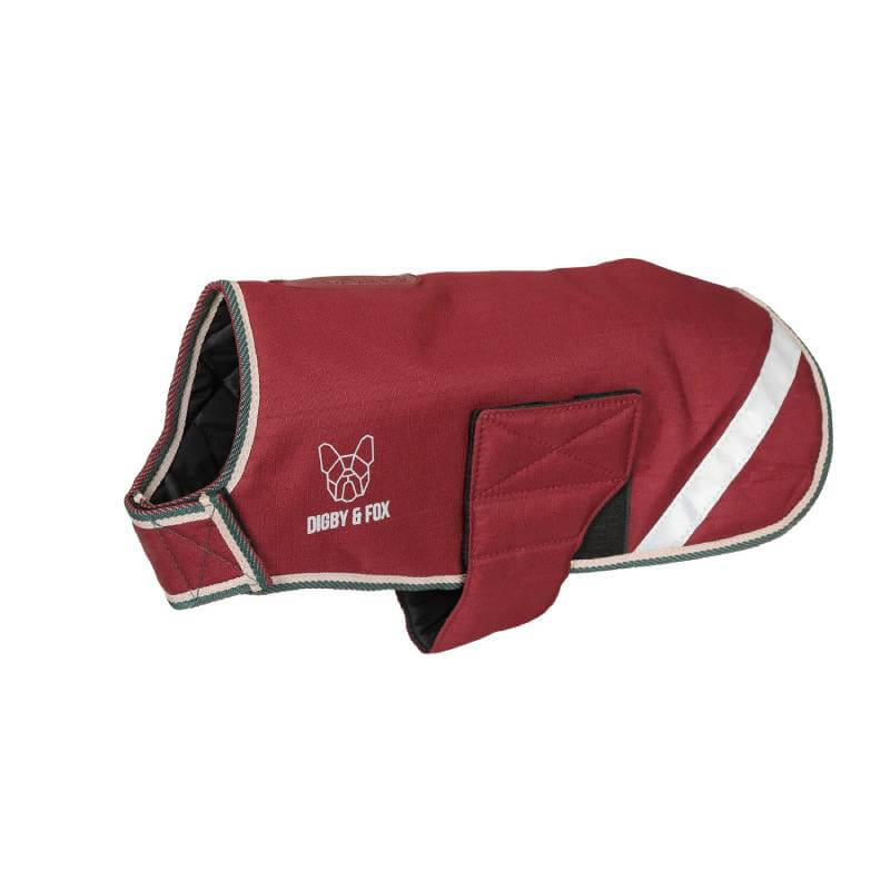 Gray dog wearing Digby & Fox Waterproof Dog Coat Burgundy stands on grass and leaves outdoors.