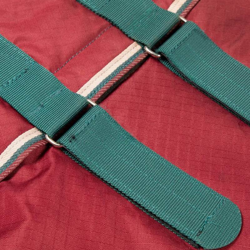 Teal webbing and beige/white trim on maroon Tempest 200 Turnout Combo Rug for medium horses.