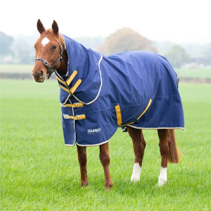 A brown horse in a Tempest navy turnout rug and neck set stands on green grass.