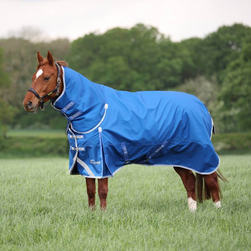 A brown horse in a Shires Highlander 200g Blue Combo Turnout Rug stands on grass with trees behind.