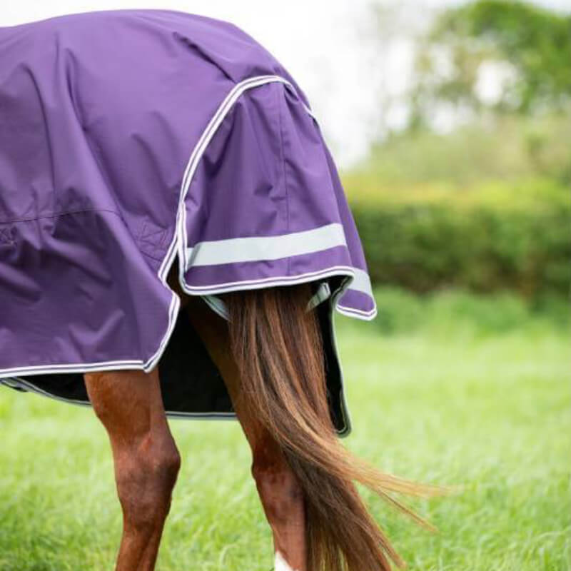 Shires Highlander Original Light Weight 100g Detach a Neck Turnout Rug Plum