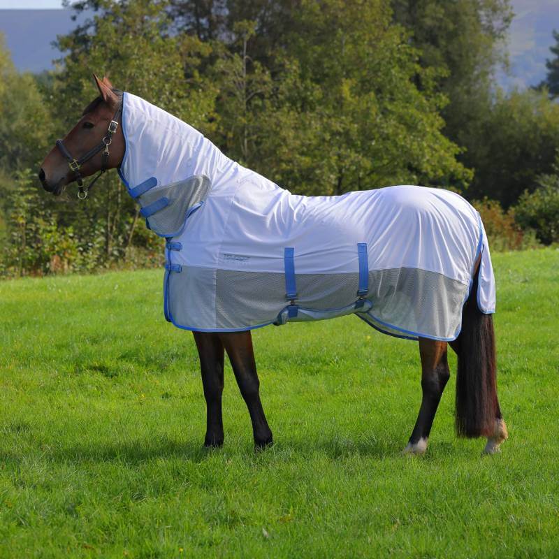 A horse wears the Shires Tempest Original Fly Mesh Combo Rug Sky outdoors on green grass.