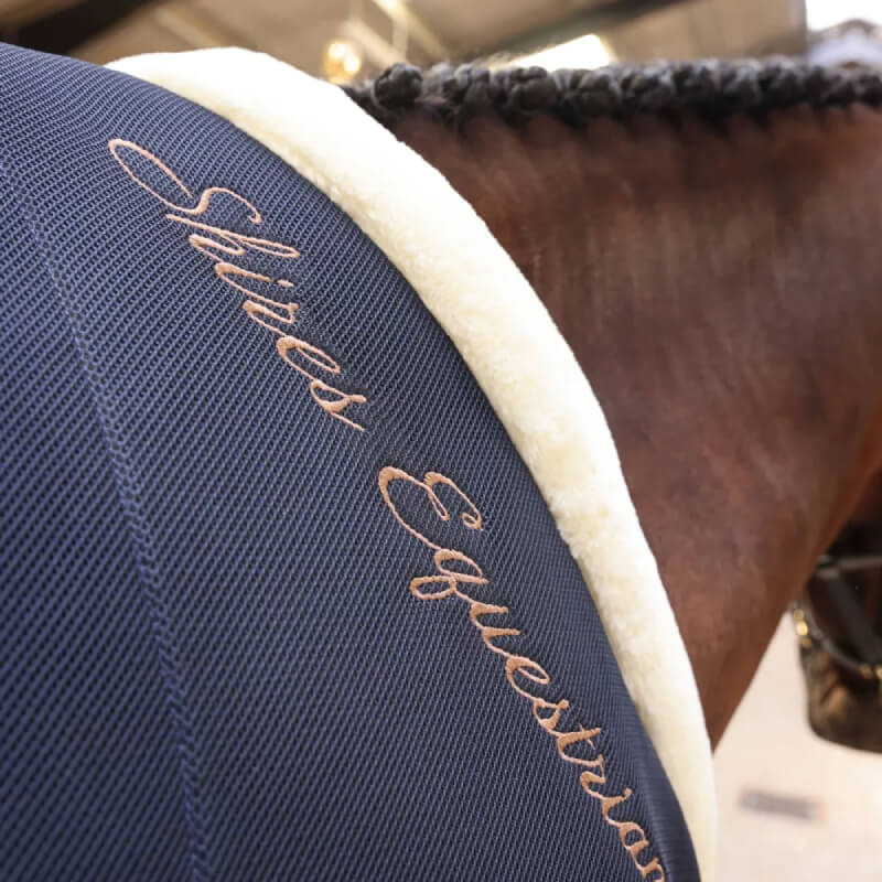Close-up of a horse in a Shires Deluxe Air Motion Cooler Navy with braided mane.
