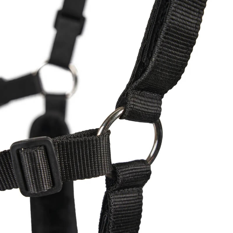 Close-up of Shires FreeGraze AirFlow Grazing Muzzle's black nylon straps with metal rings.