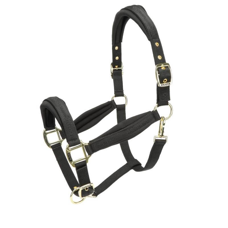 Shires Arma Padded Headcollar Black with gold hardware and adjustable buckles.