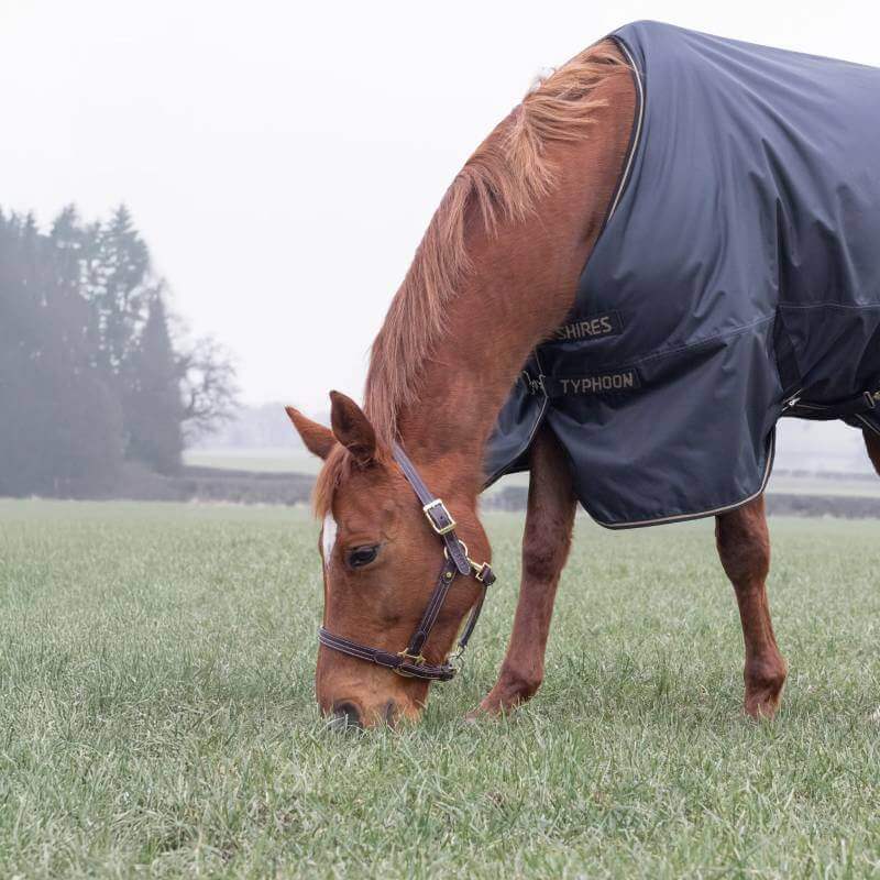 A brown horse in a Shires Typhoon Light Weight Turnout Rug grazes in a misty field.