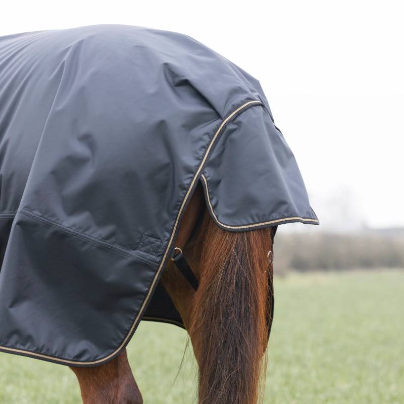 Close-up of a horse in the Shires Typhoon Light Weight 50g Turnout Rug in black, outdoors.