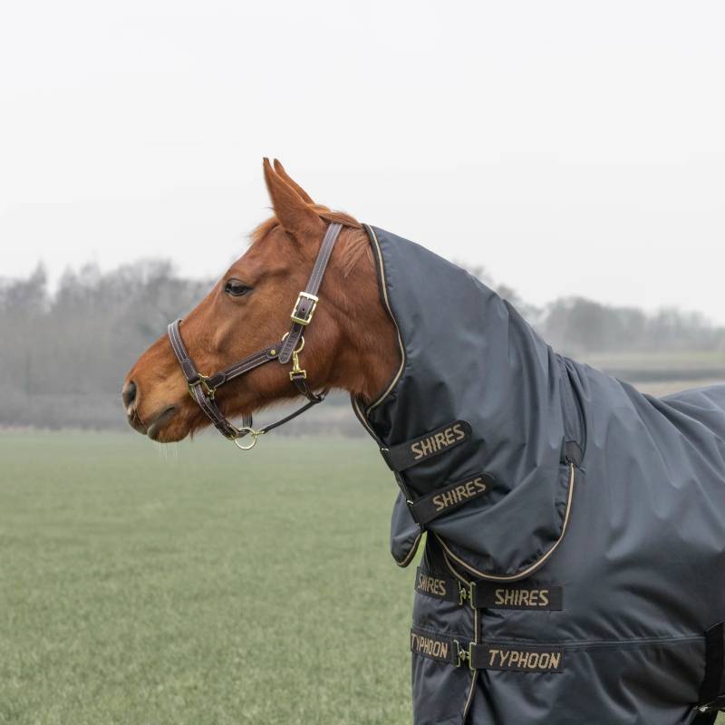 Chestnut horse in a Shires Typhoon 50g turnout rug with combo neck stands in a field.