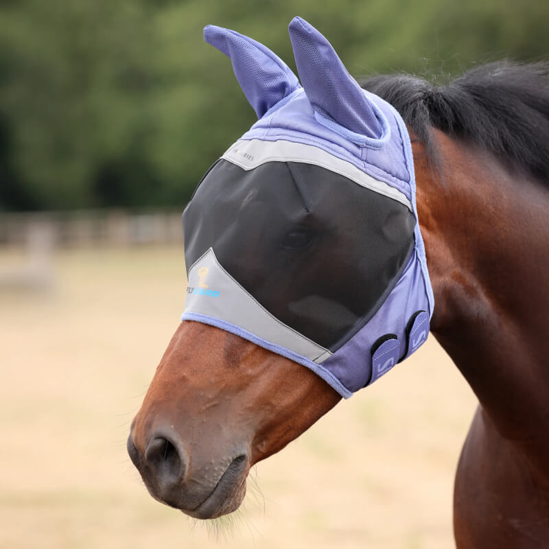 A horse wears a Shires FlyGuard Pro Fine Mesh Fly Mask with Ears Sky for UV protection.