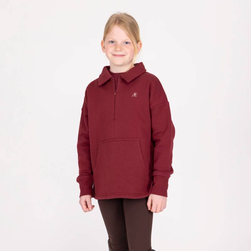 Aubrion Equestrian Quarter Zip Sweater Young Rider Port