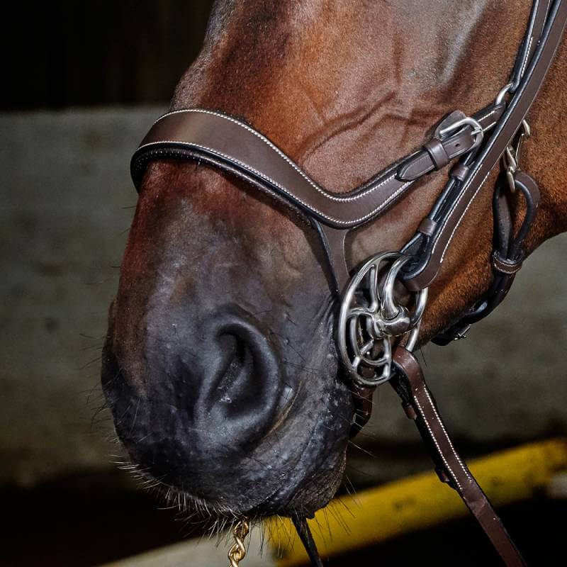 Close-up of a horse’s nose in a Whitaker John Whitaker Chicago Anatomic Bridle with hay.