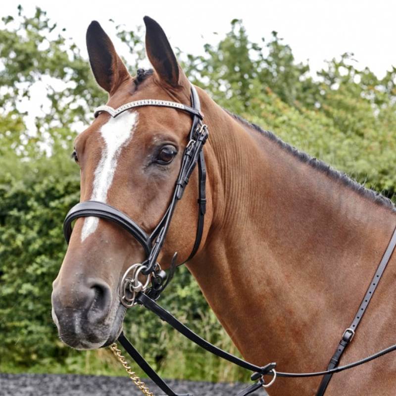 Whitaker John Whitaker Lynton Snaffle Bridle with jeweled browband on white background.