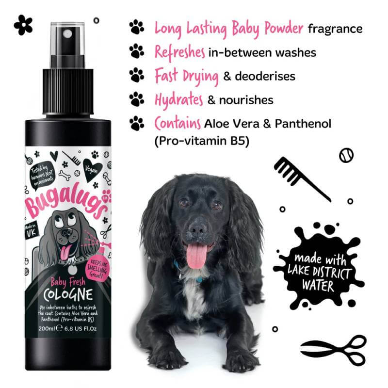 Black spaniel next to Bugalugs Baby Fresh Dog Cologne 200ml with baby powder scent.