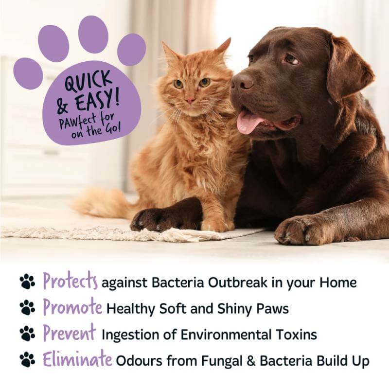 A cat and dog sit together; bold text lists Bugalugs No Rinse Paw Cleaner’s benefits.