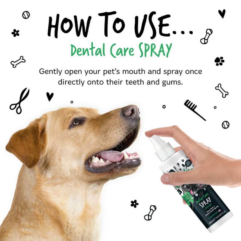 A hand sprays Bugalugs Dental Care Spray for Dogs & Cats 200ml into a pet’s mouth, with icons around.