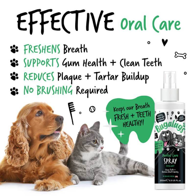 A dog and cat sit by Bugalugs Dental Care Spray for Dogs & Cats 200ml, promising fresh breath.