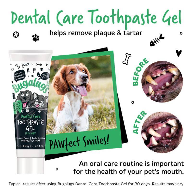 Bugalugs Dental Care Toothpaste Gel for Dogs & Cats 75g-Pet n Pony-Bugalugs