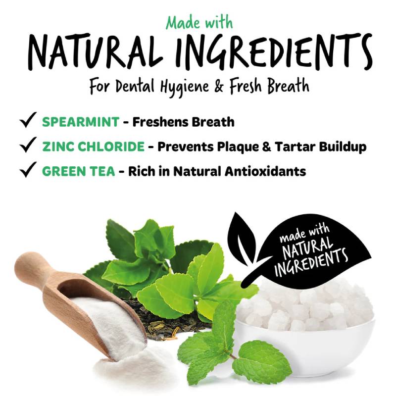 Bugalugs Dental Care Toothpaste Gel for Dogs & Cats with spearmint & green tea, 75g.