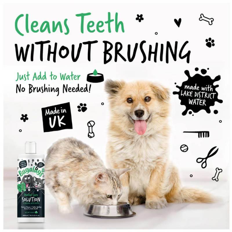 A dog sits as a cat drinks beside Bugalugs Dental Care Water Solution Additive for Dogs & Cats.