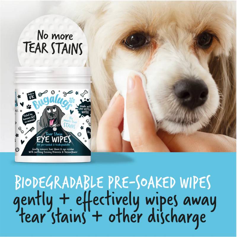 A person uses Bugalugs Tear Stain Eye Wipes for Dogs & Cats to clean a dog's eye.