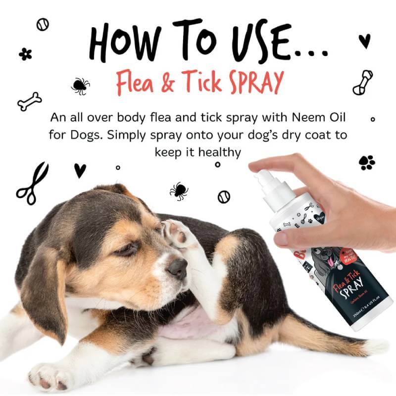 A hand uses Bugalugs Flea & Tick Spray for Dogs & Cats 200ml on a puppy scratching its ear.