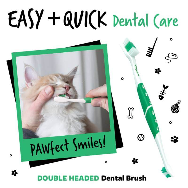 Brushing a fluffy cat’s teeth with the Bugalugs Double Ended Toothbrush by Bugalugs.