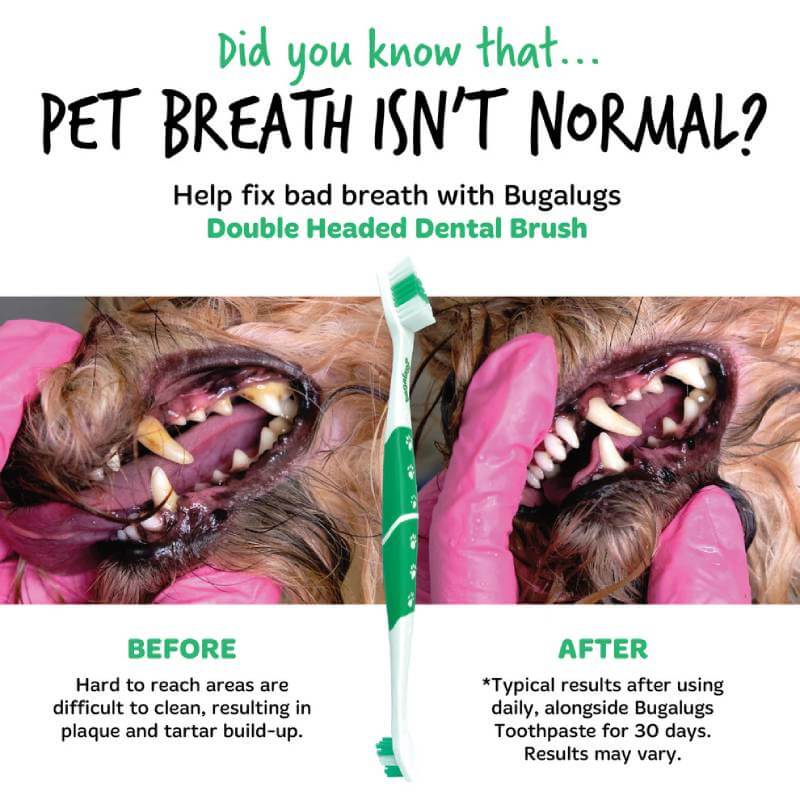 Close-up of a dog's teeth before and after using the Bugalugs Double Ended Toothbrush.