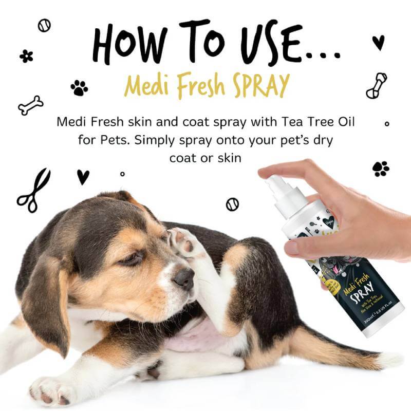 A hand sprays Bugalugs Medi Fresh Itchy Skin Spray for Dogs & Cats 200ml on a puppy.
