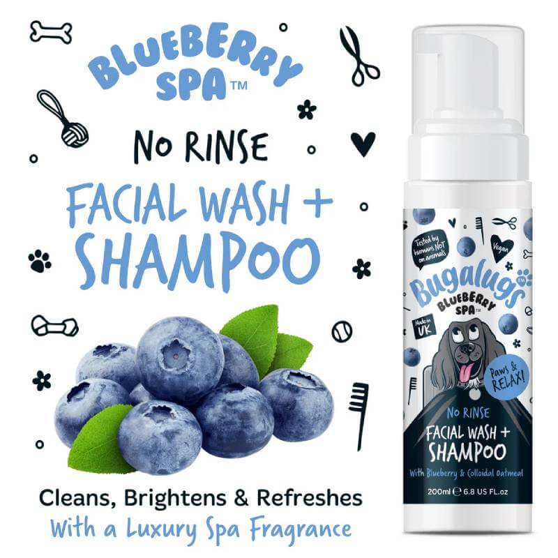 Bugalugs Blueberry Spa No Rinse Facial Wash & Shampoo for Dogs 200ml beside fresh blueberries.