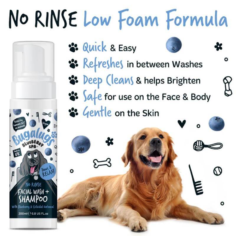Golden retriever next to Bugalugs Blueberry Spa No Rinse Facial Wash & Shampoo for Dogs, features shown.
