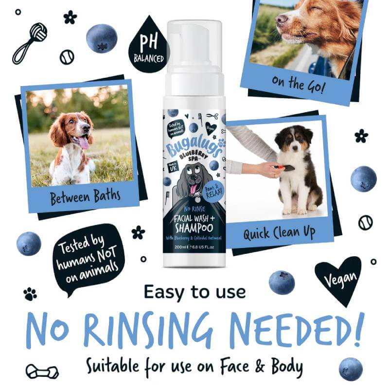 Bugalugs Blueberry Spa No Rinse Facial Wash & Shampoo—vegan, pH balanced dog care.