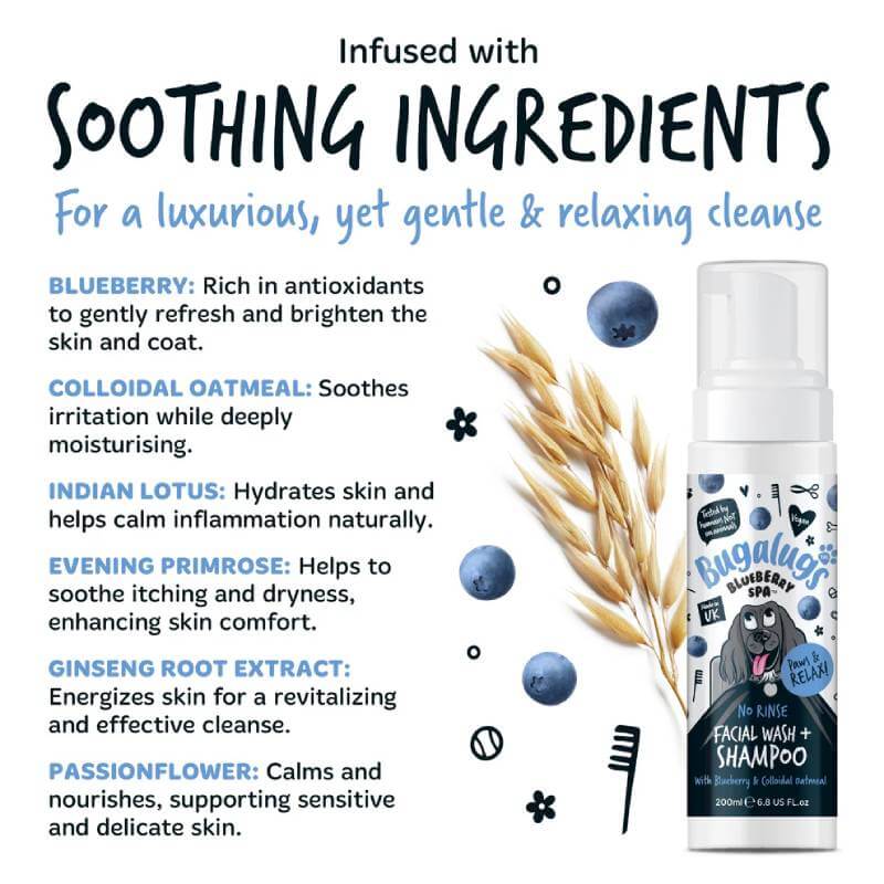 Bugalugs Blueberry Spa No Rinse Facial Wash & Shampoo for dogs, 200ml, with oats and benefits.