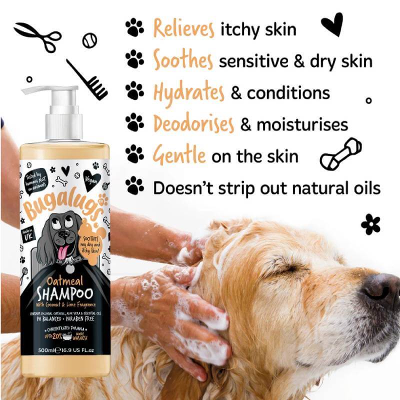 Person washing a golden retriever with Bugalugs Coconut & Lime Oatmeal Aloe Dog Shampoo for itchy skin.