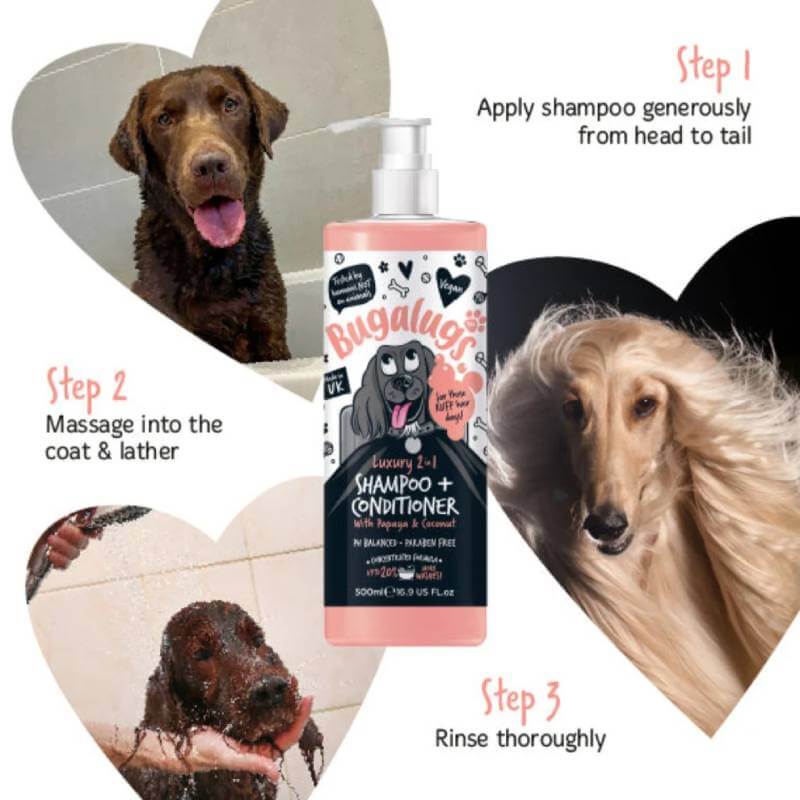 Three dogs bathed with Bugalugs 2in1 Papaya Coconut Shampoo & Conditioner; bottle shown center.