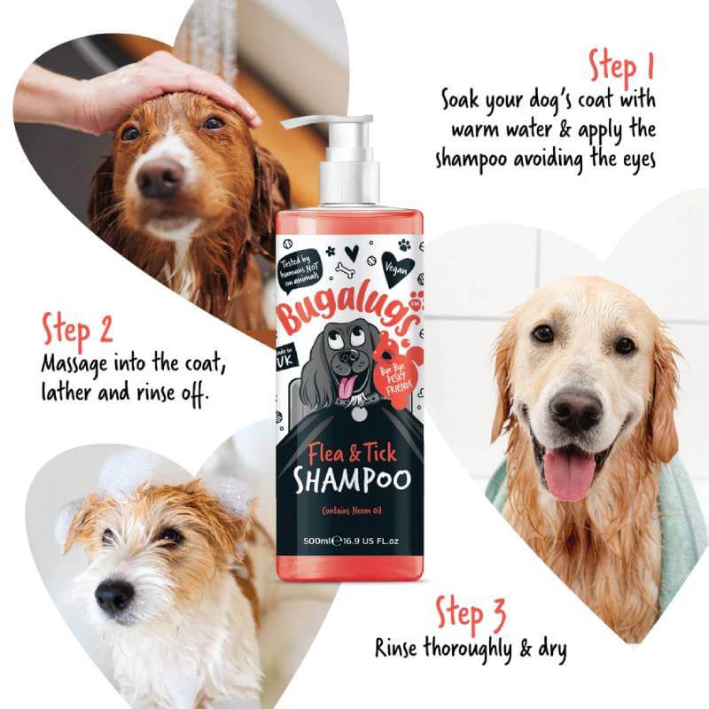 Dog bathed with Bugalugs Flea & Tick Dog Shampoo 250ml; 3-step illustrated washing guide shown.