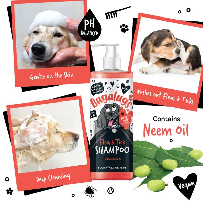 Bugalugs Flea & Tick Dog Shampoo 250ml protects dogs against fleas and ticks during bathing.