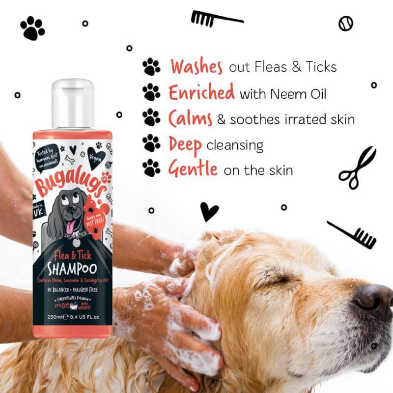 A dog gets a bath with Bugalugs Flea & Tick Dog Shampoo 250ml; features listed beside.