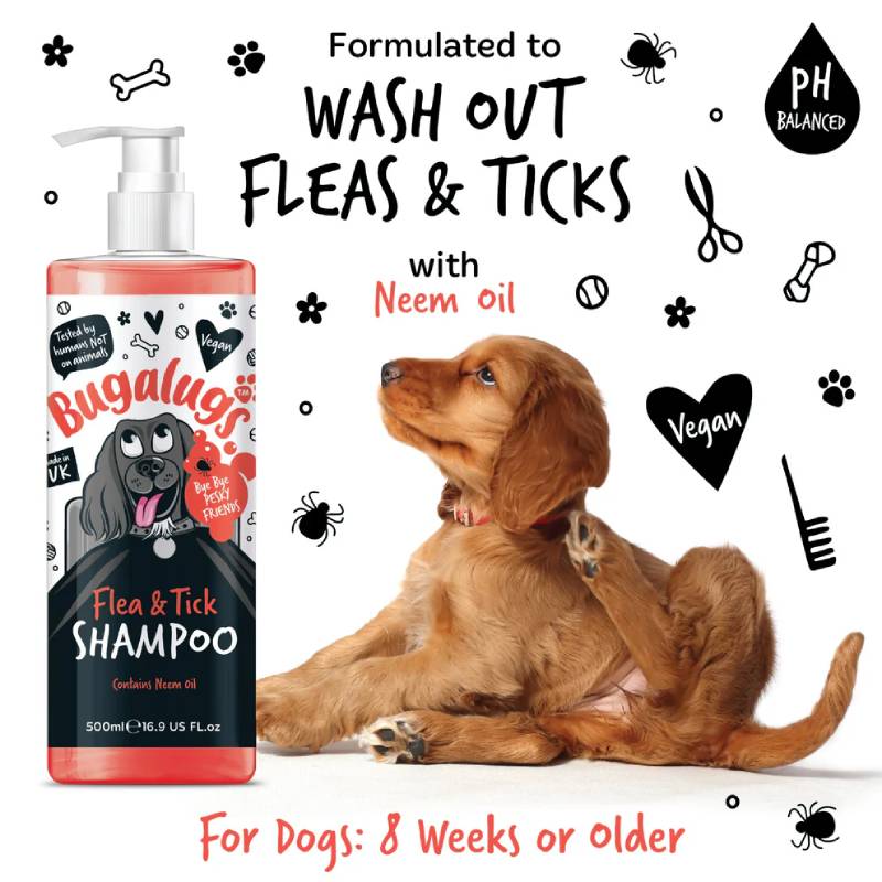 Puppy scratches ear by Bugalugs Flea & Tick Dog Shampoo 250ml, with icons and text.