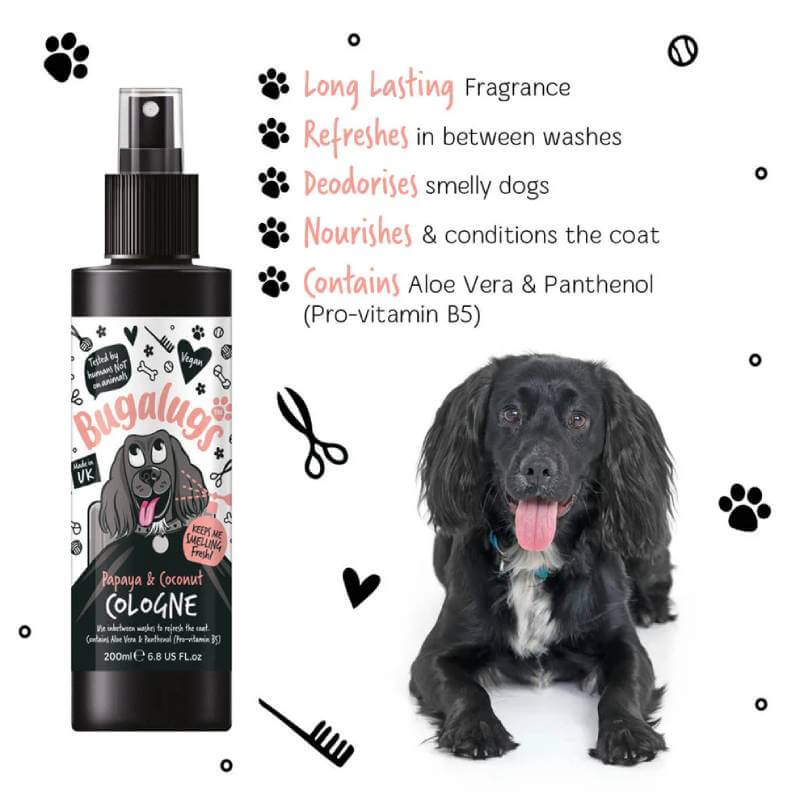Bugalugs Papaya & Coconut Dog Cologne 200ml gives your dog a long-lasting, fresh scent.