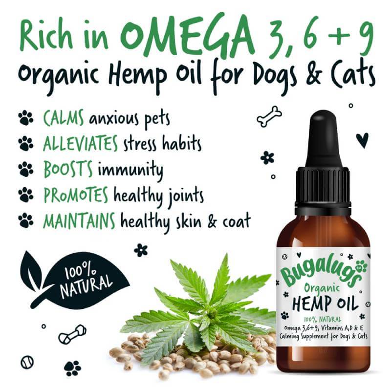 Bugalugs Organic Hemp Oil for Dogs & Cats 50ml bottle with hemp leaves and health benefits text.