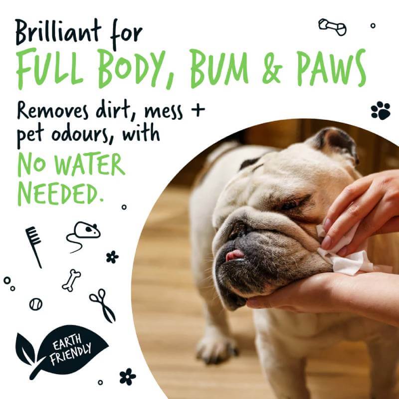 Person cleaning bulldog’s face with Bugalugs Biodegradable Wipes 110pk; Bugalugs pet care promo.