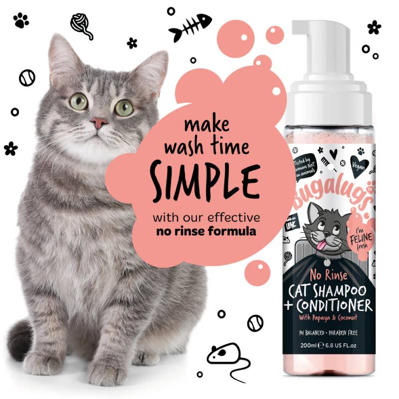 Gray cat next to Bugalugs No Rinse Papaya Coconut Cat Shampoo & Conditioner 200ml bottle.