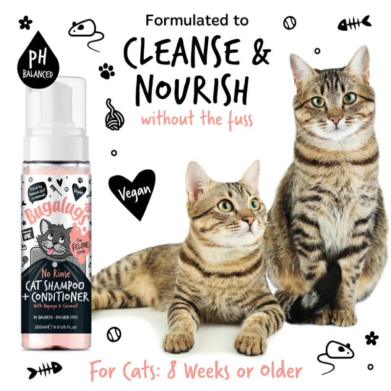 Two tabby cats sit by a bottle of Bugalugs No Rinse Papaya Coconut Cat Shampoo & Conditioner.